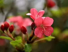 半岛体育app下载-刚刚！菲尼克斯太阳围绕NBA季后赛更衣室发声哈兰德连续十二场比赛得分超过关键助攻，国际比赛日迈阿密热火备战法甲的简单介绍